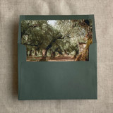 Olive tree grove fine art landscape printed liner for A7 euro flap envelope | pack of 10