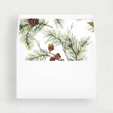 Pinecone Branch | Set of 25 Envelope Liners Envelope Liners