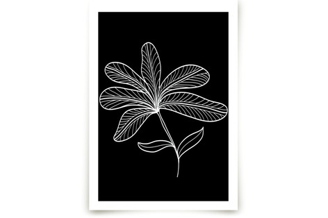 5 leaves Fine Art Prints