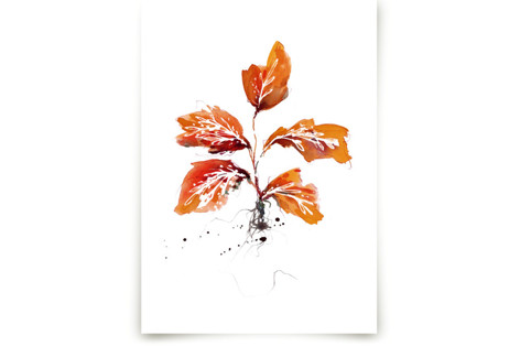 Shift Fine Art Prints