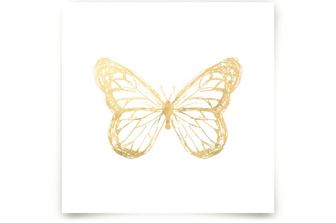 Wings at Work Fine Art Prints