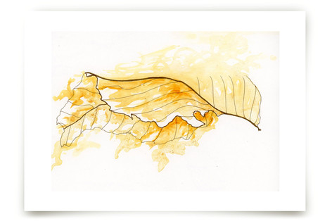 Gold Leaf Fine Art Prints