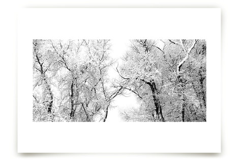 Silent Storm Fine Art Prints