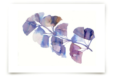 SOFTLY GINKGO Fine Art Prints