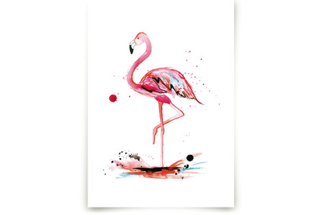 Pink Flamingo Fine Art Prints