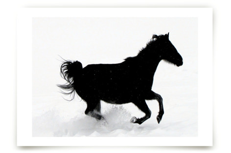 Free To Be Fine Art Prints