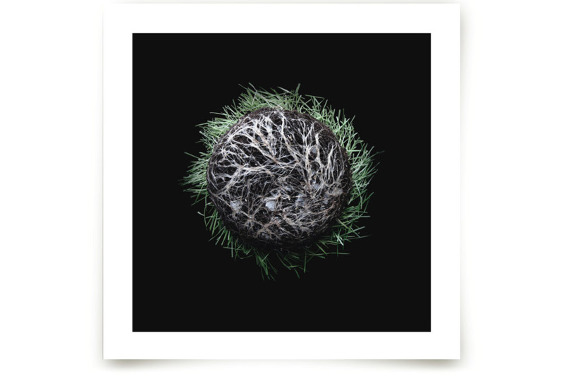 The Space We Are Given Fine Art Prints by Elky Ink Minted