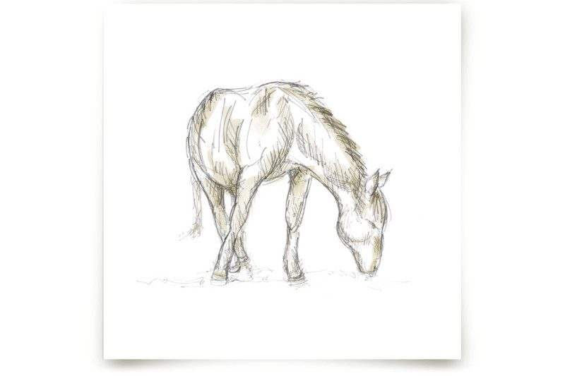 Hungry Horse Fine Art Prints by Susanne Kasielke Minted
