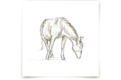 Hungry Horse Fine Art Prints