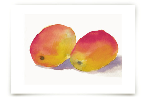 Marvelous Mangos Fine Art Prints
