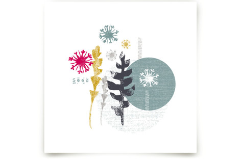 Essential Garden: Seed Fine Art Prints