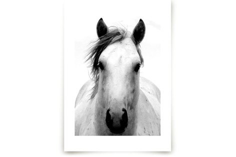 Sand Spirit Fine Art Prints
