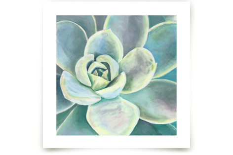 Green Velvet Fine Art Prints