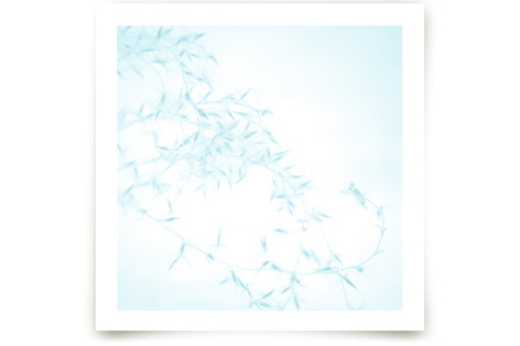 Winter Grass I Fine Art Prints