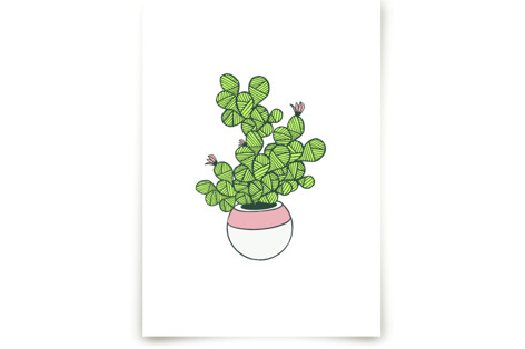 Potted Cactus  Fine Art Prints