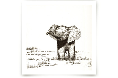 Elephant and bird Fine Art Prints