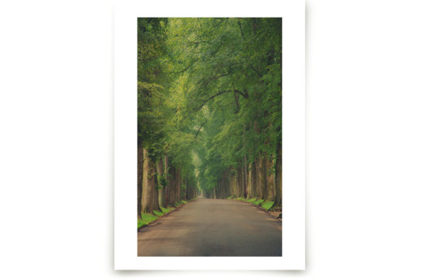 The Street I Live On Fine Art Prints