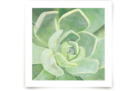 Garden Velvet Fine Art Prints