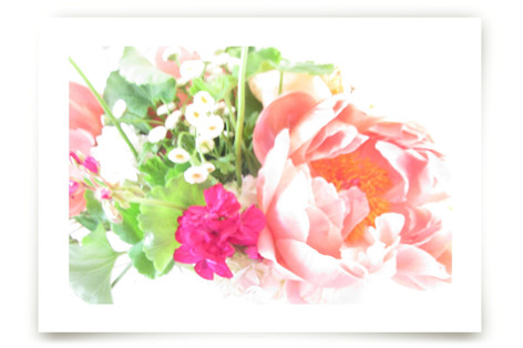 Flamboyance Fine Art Prints