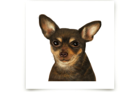 Chihuahua Fine Art Prints