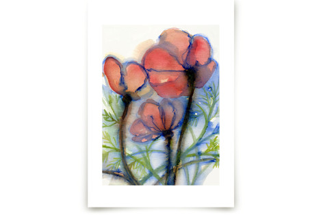 Glorious Poppies Fine Art Prints