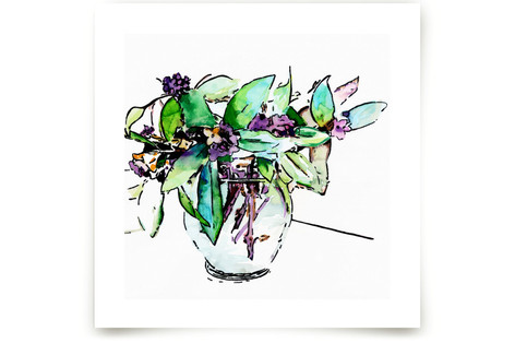I Odora You Daphne  Fine Art Prints