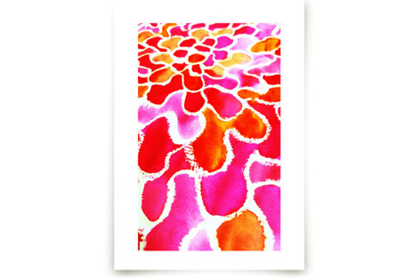 Colourburst3 Fine Art Prints