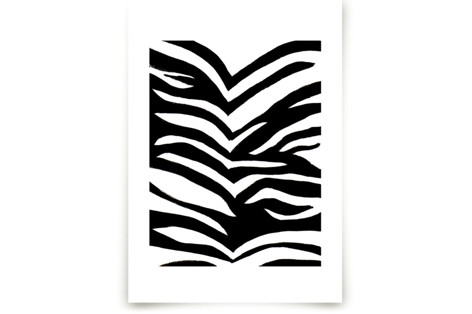 Zebra Stripes Fine Art Prints