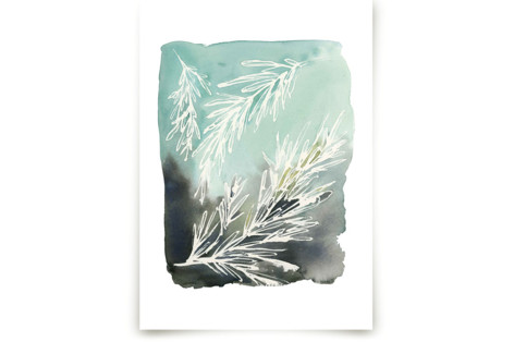 Sprig Fine Art Prints