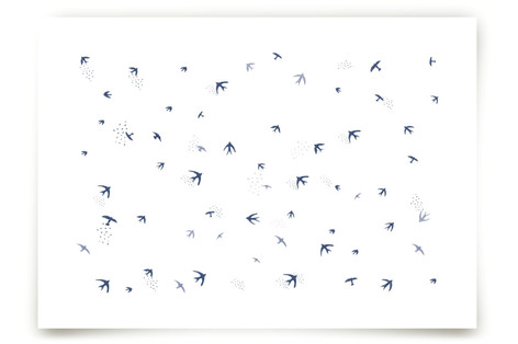 Skyward Birds Fine Art Prints