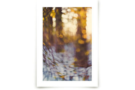 Glitter Globe Fine Art Prints