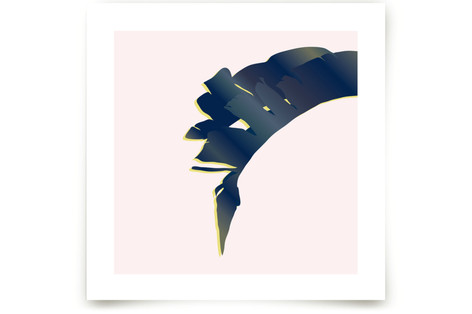 Palm Study #5 Fine Art Prints