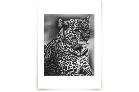 Furry Leopard Fine Art Prints