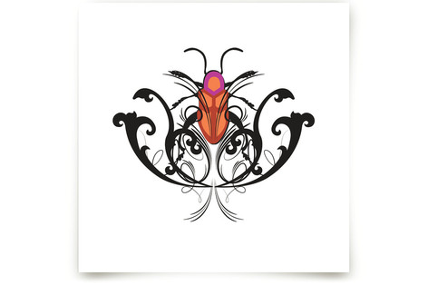 Pink Beetle Fine Art Prints