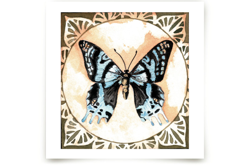 Butterfly Study I Fine Art Prints by Stephanie Toral Minted