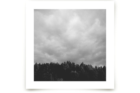 Treeline Fine Art Prints