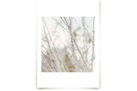 Inked II Fine Art Prints