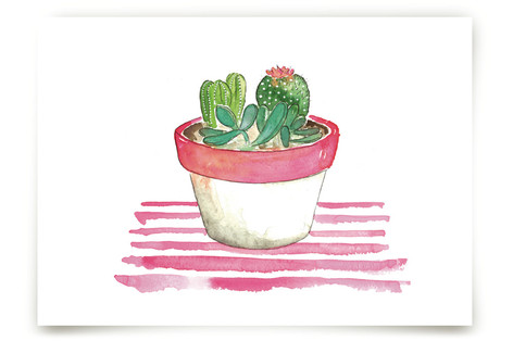 The Stripped Cactus Fine Art Prints