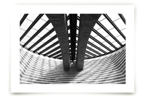 Mogno Fine Art Prints