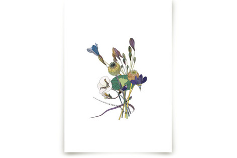 Wild, Wild,Wildflowers Fine Art Prints