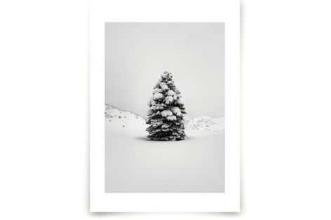 Tranquil Snow III Fine Art Prints