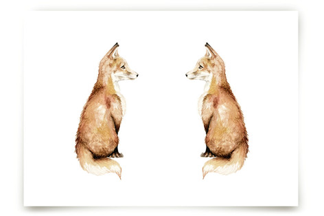 Fancy foxes Fine Art Prints