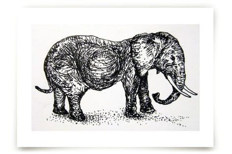 A pregnant elephant Fine Art Prints
