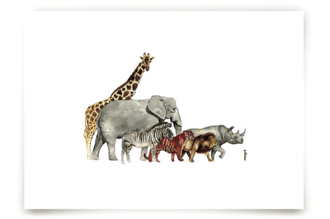 Safari Animal Parade Fine Art Prints