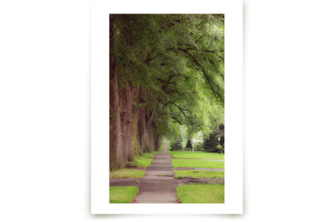 The Street I Live On II Fine Art Prints