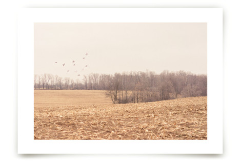 Almost Winter Fine Art Prints