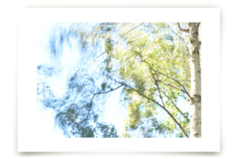 Breezy afternoon Fine Art Prints