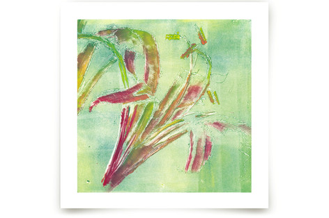 Exotic Lily Fine Art Prints