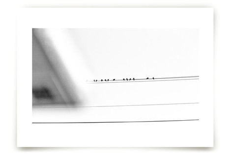 have a seat Fine Art Prints