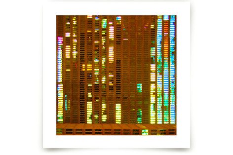 Windows Data Fine Art Prints